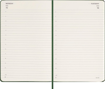 картинка Ежедневник Moleskine Classic 2024, Large (13x21 см), зеленый от магазина Молескинов