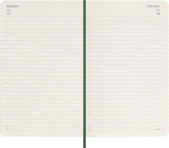 картинка Ежедневник Moleskine Classic Soft (мягкая обложка), 2024, Large (13x21 см), зеленый от магазина Молескинов