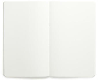 картинка Записная книжка Moleskine Volant (нелинованная, 2 шт.), XLarge (19х25см), синяя от магазина Молескинов